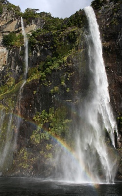 041. ニュージーランド ミルフォード・サウンドの滝