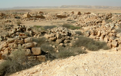 053. イスラエル ネゲヴ砂漠の遺跡